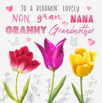 Tap to view Bloomin' lovely Granny Birthday Card