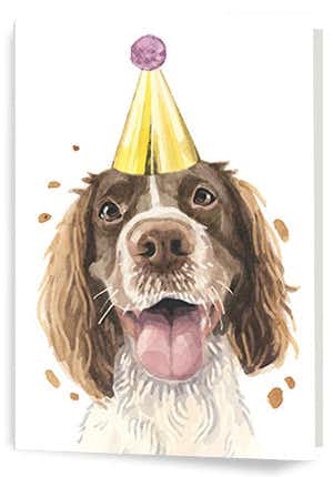 Shop Animal Birthday Cards