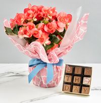 Tap to view Happy Birthday Begonia and Chocolate Gift Set