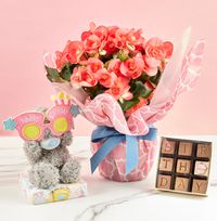 Tap to view Birthday Begonia, Bear and Chocolate Gift Set