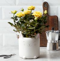 Tap to view Yellow Rose In The Happy Cat Pot