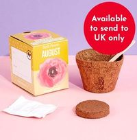 Tap to view NOW HALF PRICE August Grow Your Own Birth Flower Kit - Poppy