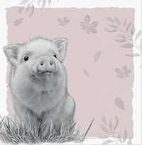 Tap to view Pig Birthday Card