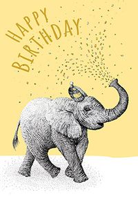 Tap to view Party Elephant Birthday Card