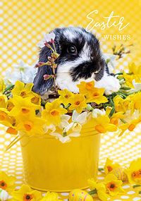 Tap to view Easter Bunny Card