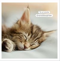 Tap to view Sleeping Kitten Granddaughter Birthday Card