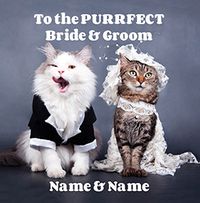 Tap to view Paper Rose - Wedding Card Purrfect Bride & Groom