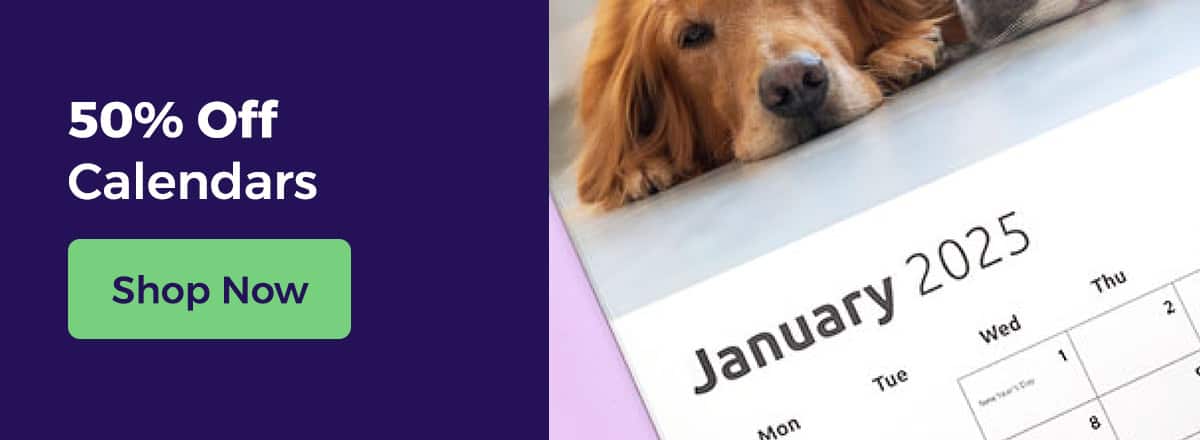 Shop All Calendars