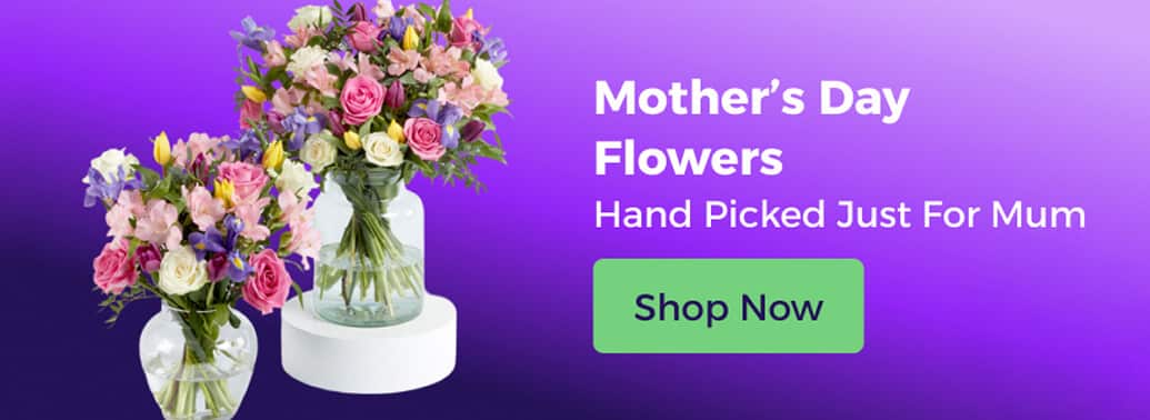 Shop All Mother's Day Flowers