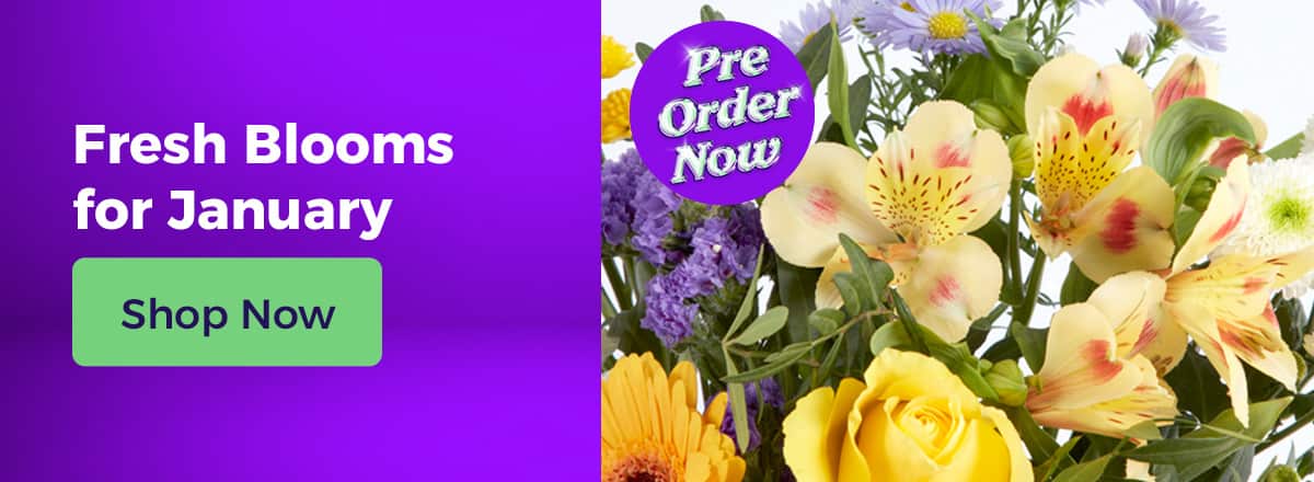 Shop Fresh Blooms for January