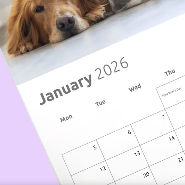 Customise Your Calendar