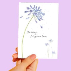 Sympathy Cards