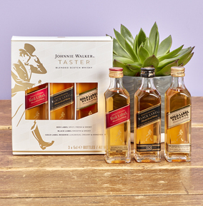 Johnnie Walker Whisky Miniature Taster Set