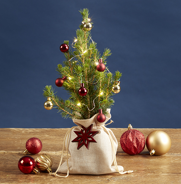 christmas tree letterbox