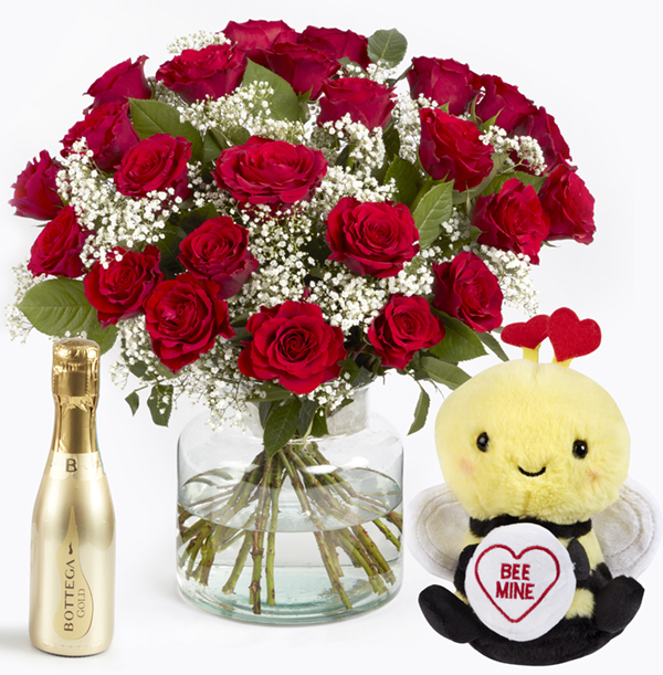 Abundance Red Rose Gift Set