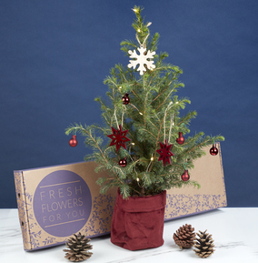 The Snowy Letterbox Christmas Tree