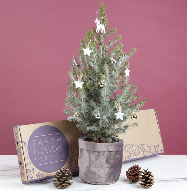 The Snowy Letterbox Christmas Tree