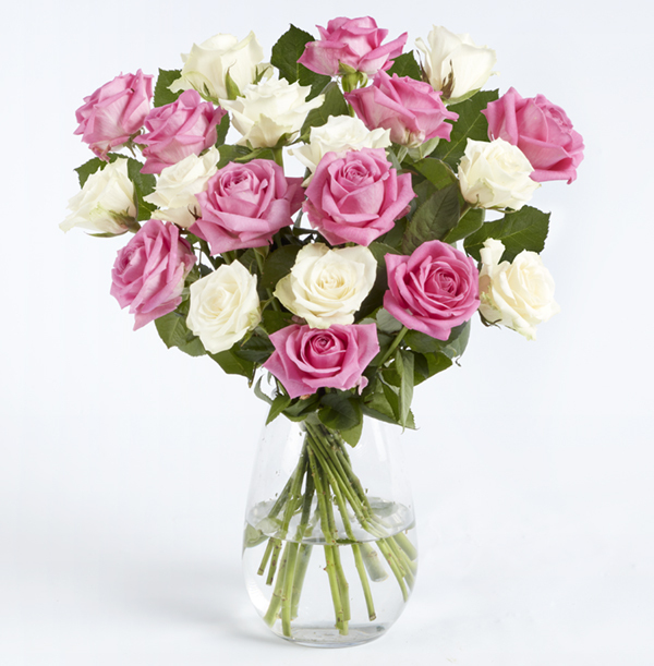 Luxury Pink and White Roses