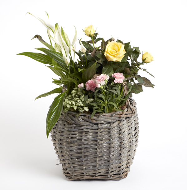 Mother's Day Basket