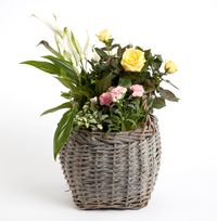 Tap to view Mother's Day Basket