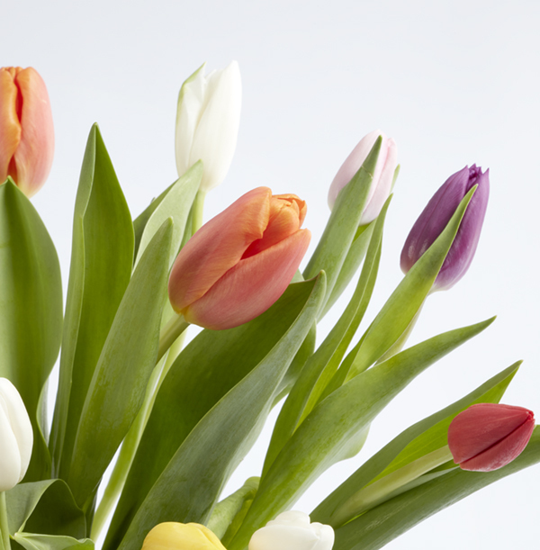 The Mixed Tulips Bouquet