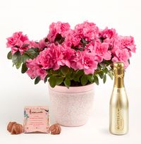 Tap to view Mum's Pink Azalea Gift Set