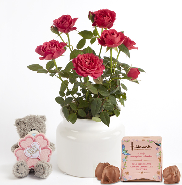 Pink Rose in Ceramic Gift Set