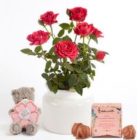 Tap to view Pink Rose in Ceramic Gift Set