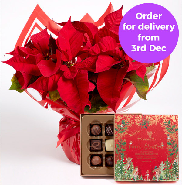 Poinsettia Gift Set  with Holdsworth Chocolates