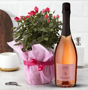 Pink Rose and Rosé Prosecco Gift Set