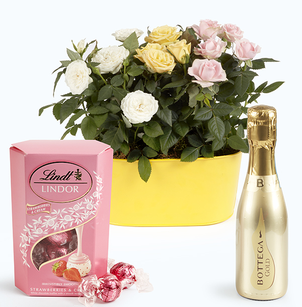 Rose Trio Trough Gift Set