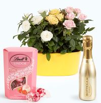 Tap to view Rose Trio Trough Gift Set