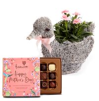 Tap to view Dolly The Duck Gift Set