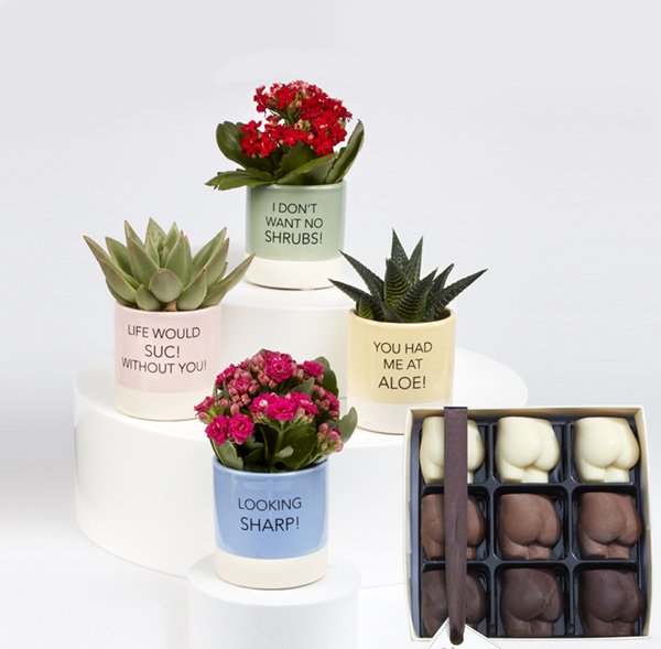 Valentine's Slogan Succulents and Chocolate Bums Set