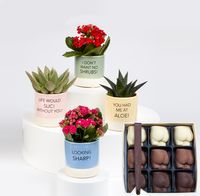 Tap to view Valentine's Slogan Succulents and Chocolate Bums Set