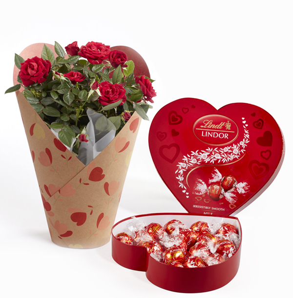 Valentines Wrapped Rose and Chocolate Gift Set