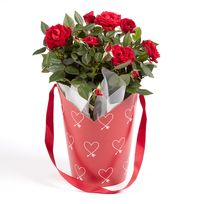 Tap to view Valentines Wrapped Rose Bush