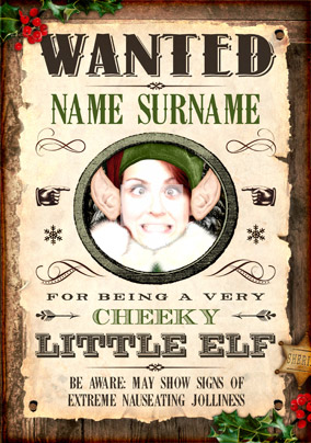 Wanted - Christmas Elf