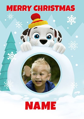 Paw Patrol Photo Christmas Card