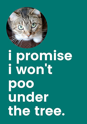 I Won't Poo Under the Christmas Tree Photo Card