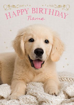 Golden Labrador Puppy Birthday Card | Funky Pigeon