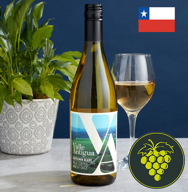 Sauvignon Blanc – Sauvignon John