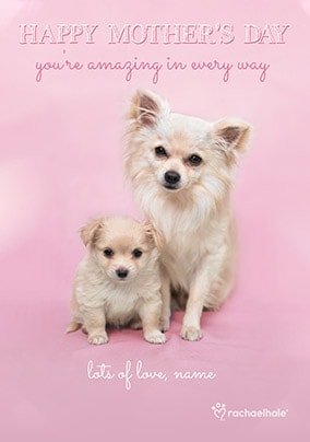 Happy Mother's Day Chihuahua & Pup Personalised Card