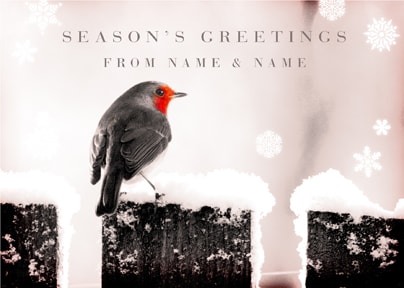 Robin Personalised Christmas Postcard - Season's Greetings