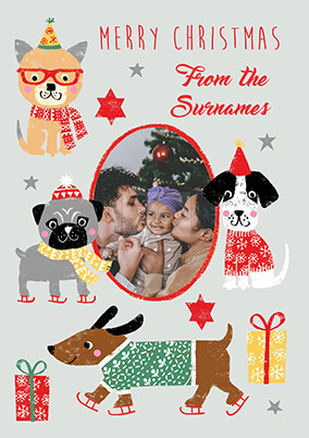 Merry Christmas Dogs Photo Card