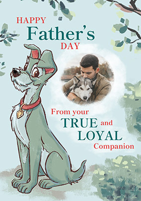 Lady And The Tramp - Loyal Companion Happy Father's Day Card