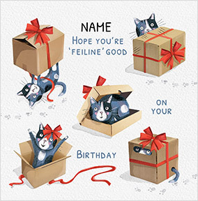Feline Good Birthday Card