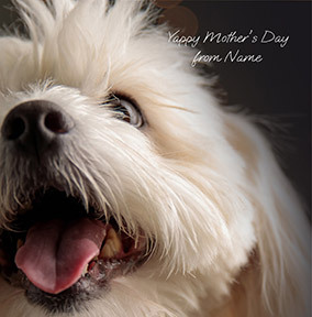 Yappy Mother's Day Square Card