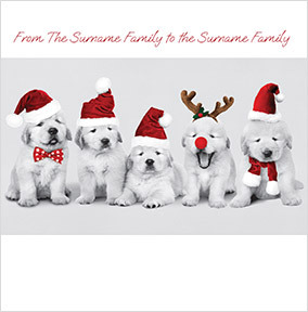 Puppies In Hats Square Christmas Card