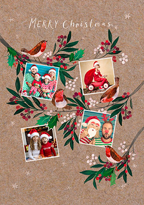 Robins and Branches 4 Photo Christmas Card